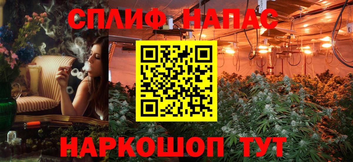 Каннабис индика  Вход с VPN  Тара  Канабис LSD WEED  Канабис LSD WEED 